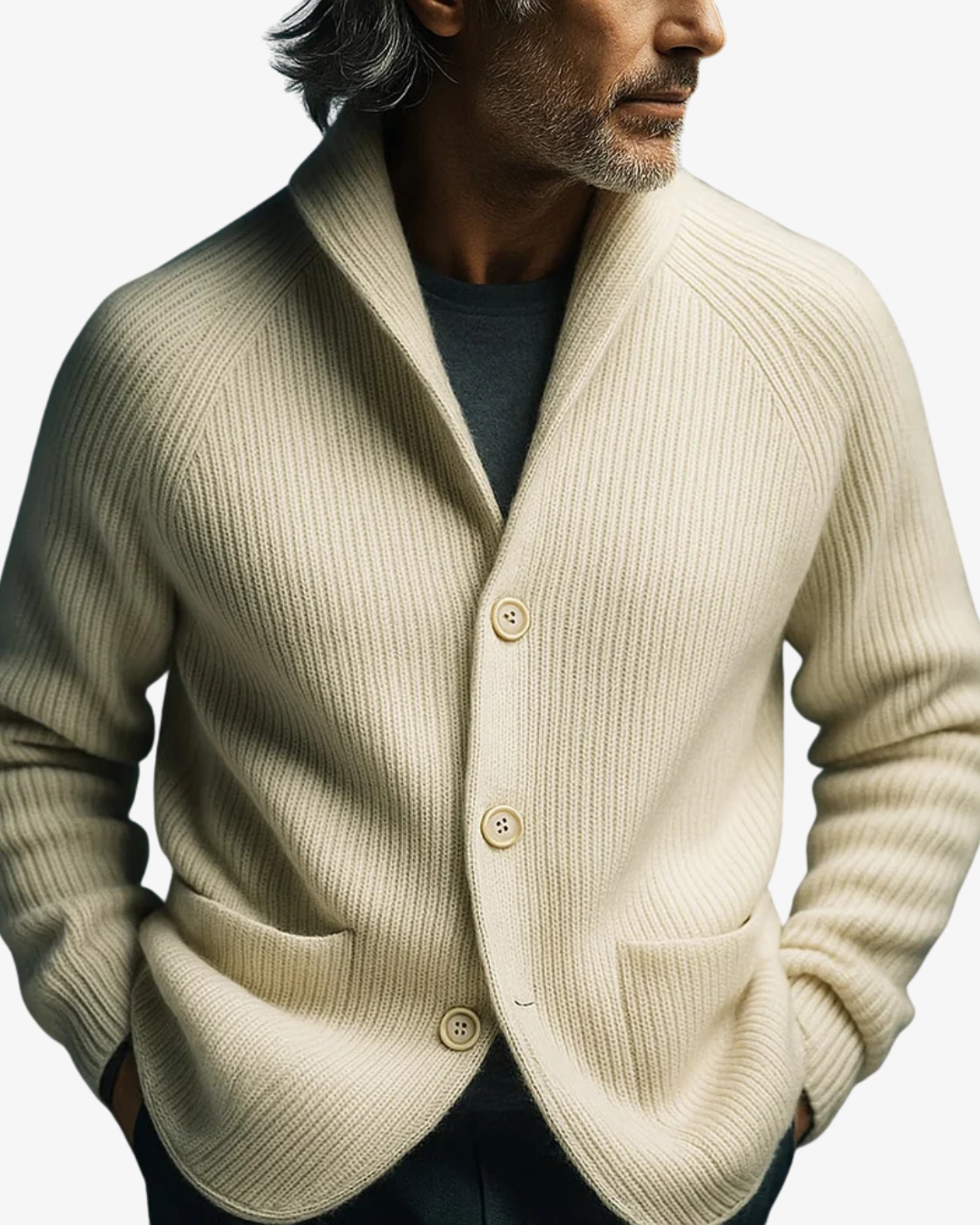 Stellan | Men's Cozy Stand Collar Cardigan